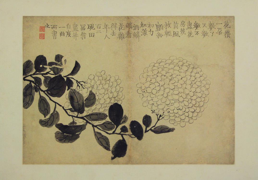 《花卉图册008》金农作品介绍及画作含义/创作背景